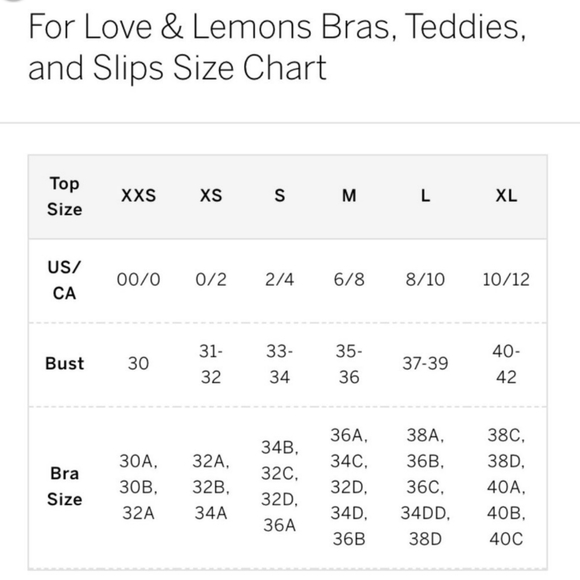 🍋For Love and Lemons Juliet Embroidered Mesh Bustier Bra - Picture 5 of 10